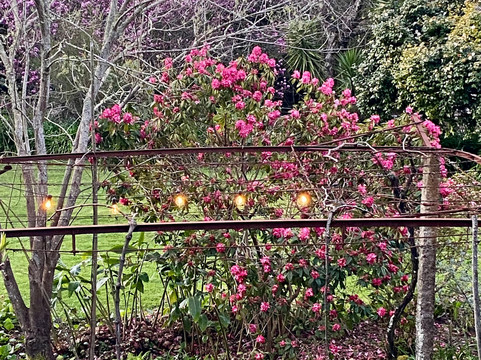 Convento de Cabanas-维亚纳堡必去景点