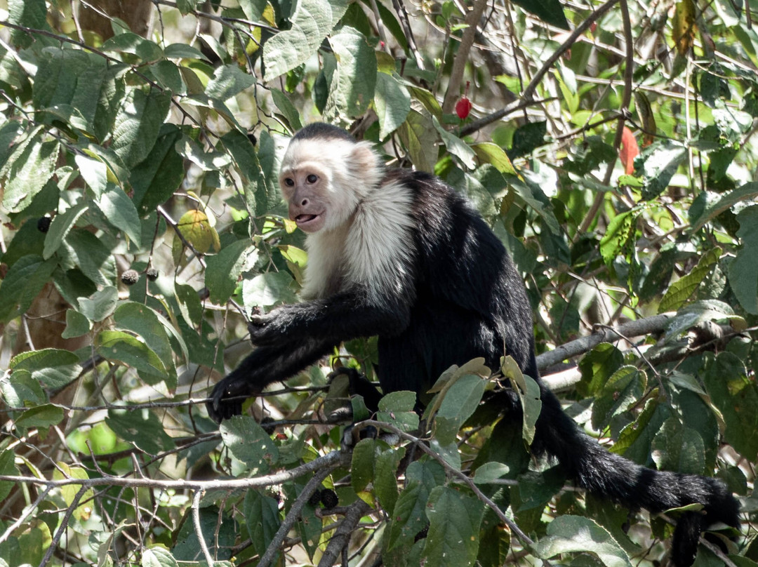 Life Time Travel-萨迪纳尔必去景点