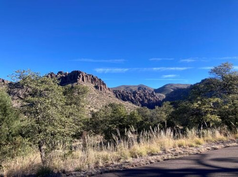 Chiricahua National Monument-Willcox必去景点