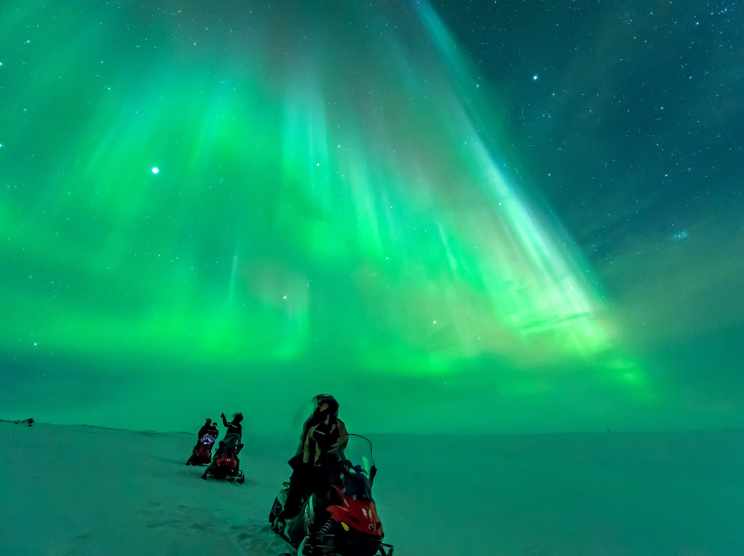 Nordkyn Nordic Safari-Mehamn必去景点