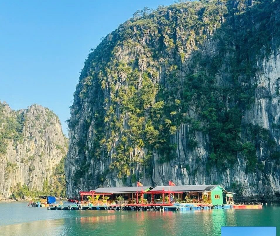 The Duck Stop Cat Ba-卡巴必去景点