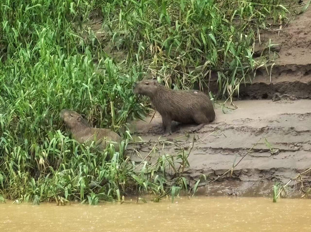 Finca Sachavacayoc lodge主图