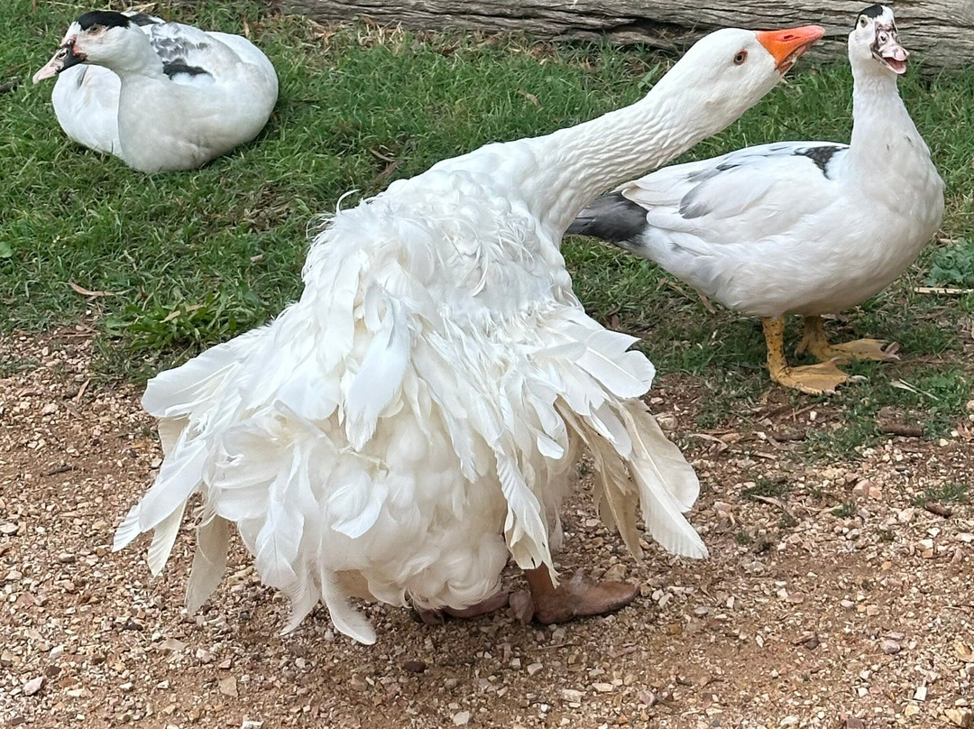 Byrne Farm-Nashdale必去景点