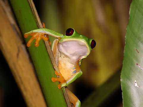 Manuel Tour Guide-卡维塔必去景点