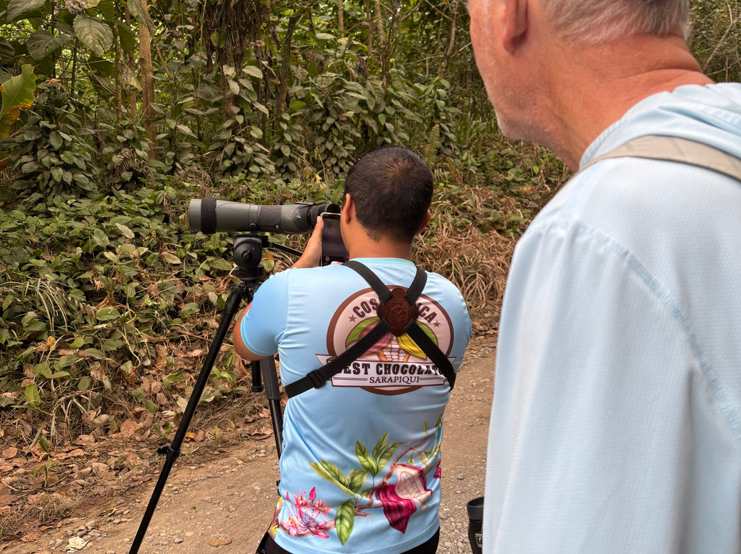 Chilamate Rainforest Eco Retreat主图