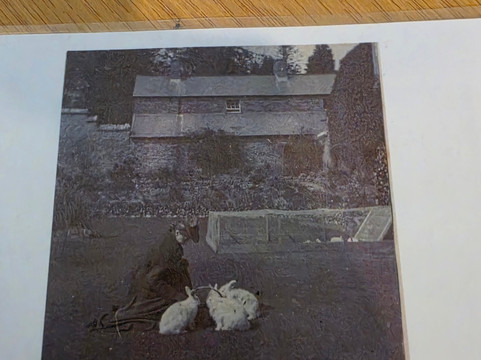 Arlington Court and the National Trust Carriage Museum-巴恩斯特珀尔必去景点