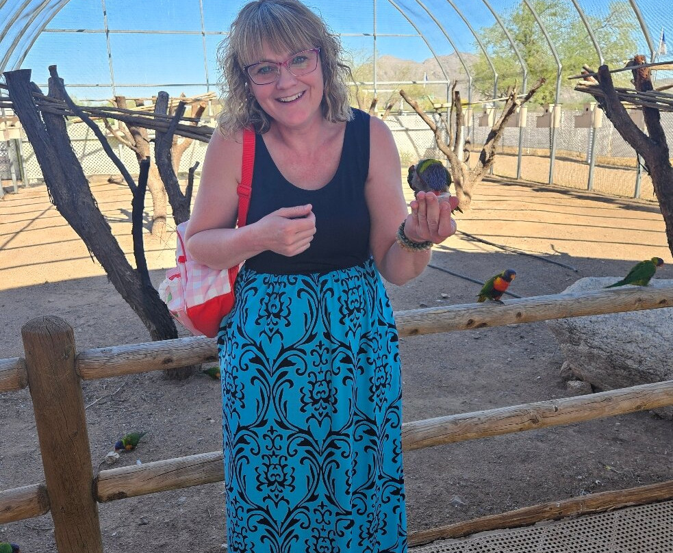 Rooster Cogburn Ostrich Ranch-Picacho必去景点