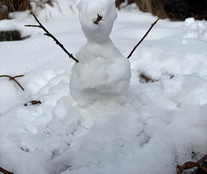 Ease Tours & Treks-甘托克必去景点