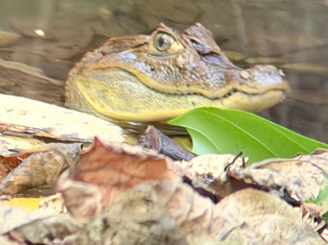 Hotel Jade Mar-Bahia Drake必去景点