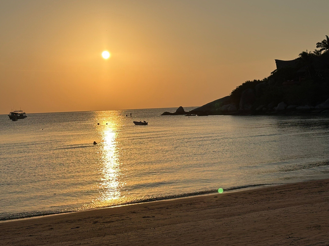 棕榈叶度假村主图