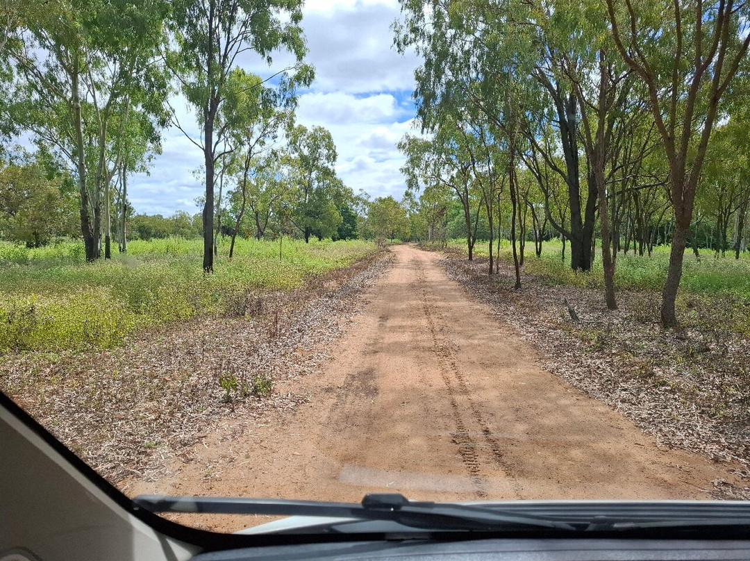 Dalrymple National Park