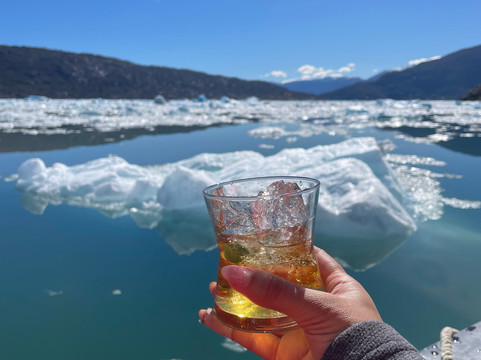 Canales Australes-Tortel必去景点