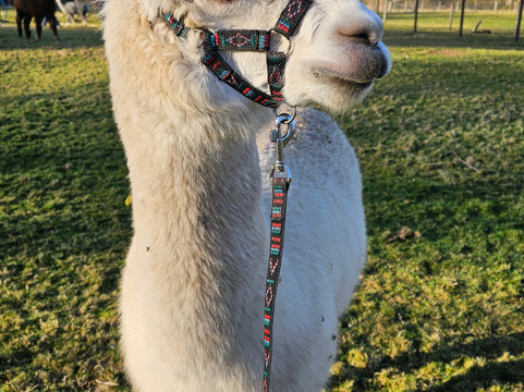 Wee Eden-West Calder必去景点