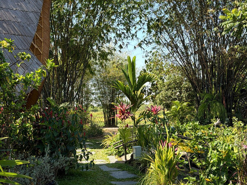 Zabb E Lee泰式烹饪班-清迈必去景点