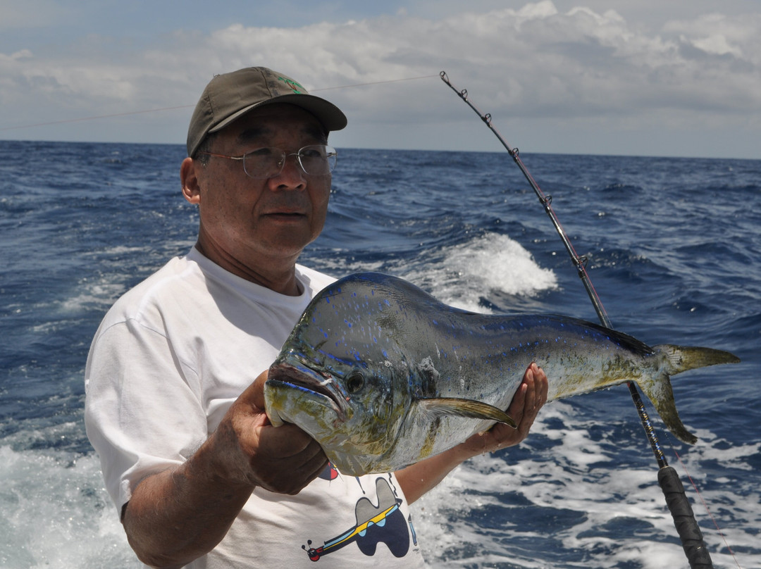 Porto Pesca-Porto Seguro必去景点