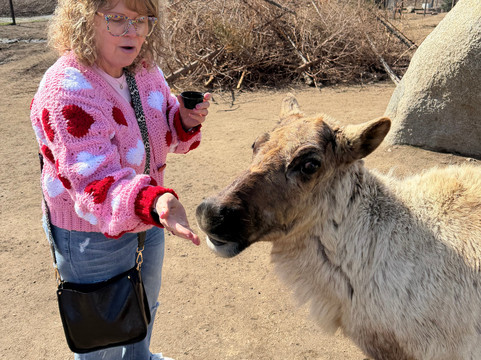 Leavenworth Reindeer Farm-莱文沃思必去景点