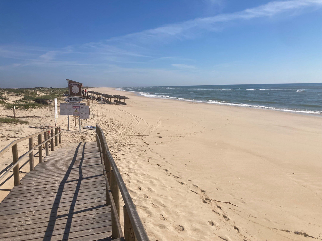 Sol Da Culatra主图