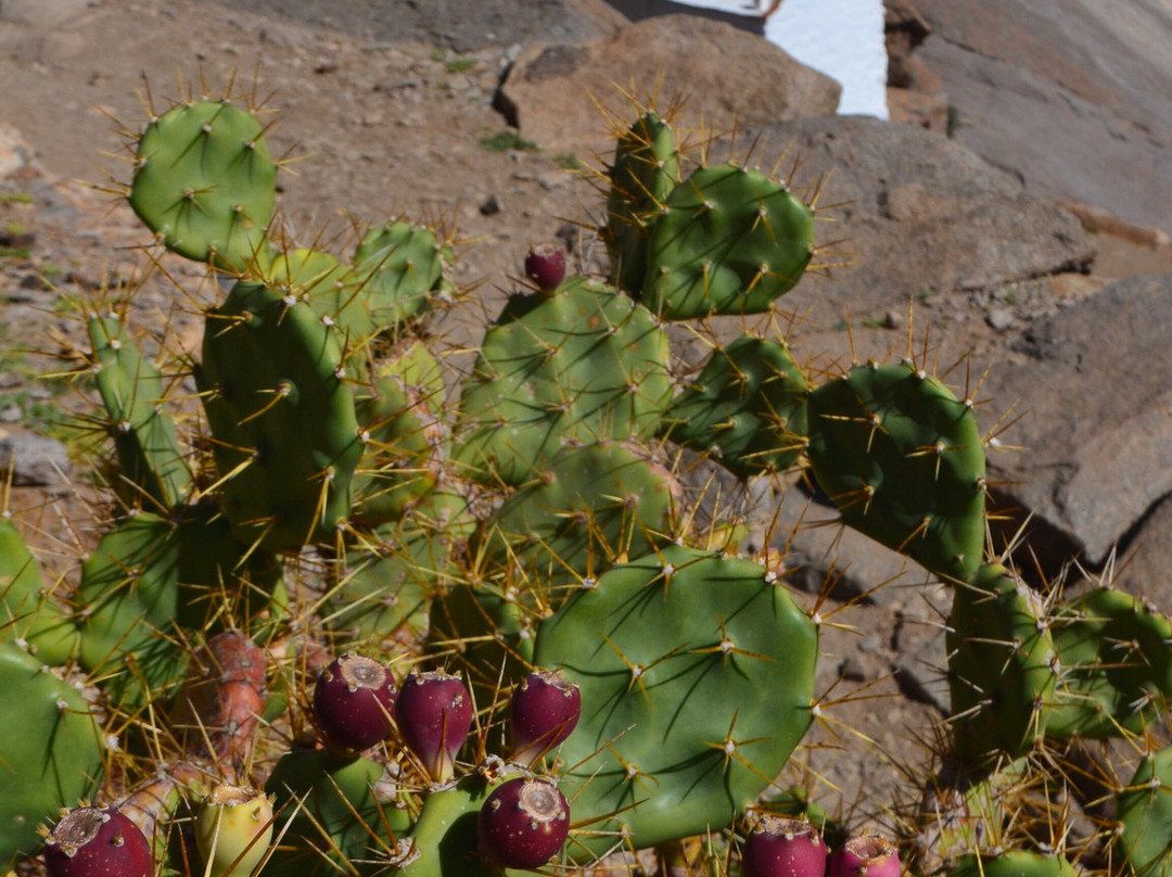Barraco de Las Penitas-富特文图拉必去景点