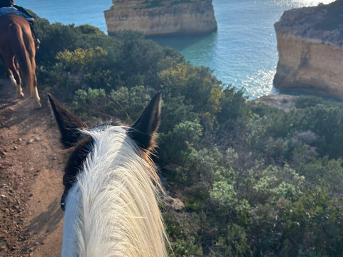 Solid Rocks Algarve Horse Trail Adventures-Porches必去景点
