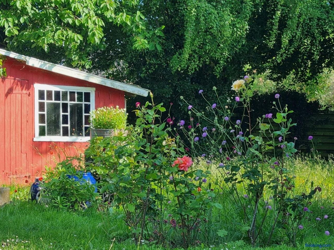 Guesthouse Gronnegade