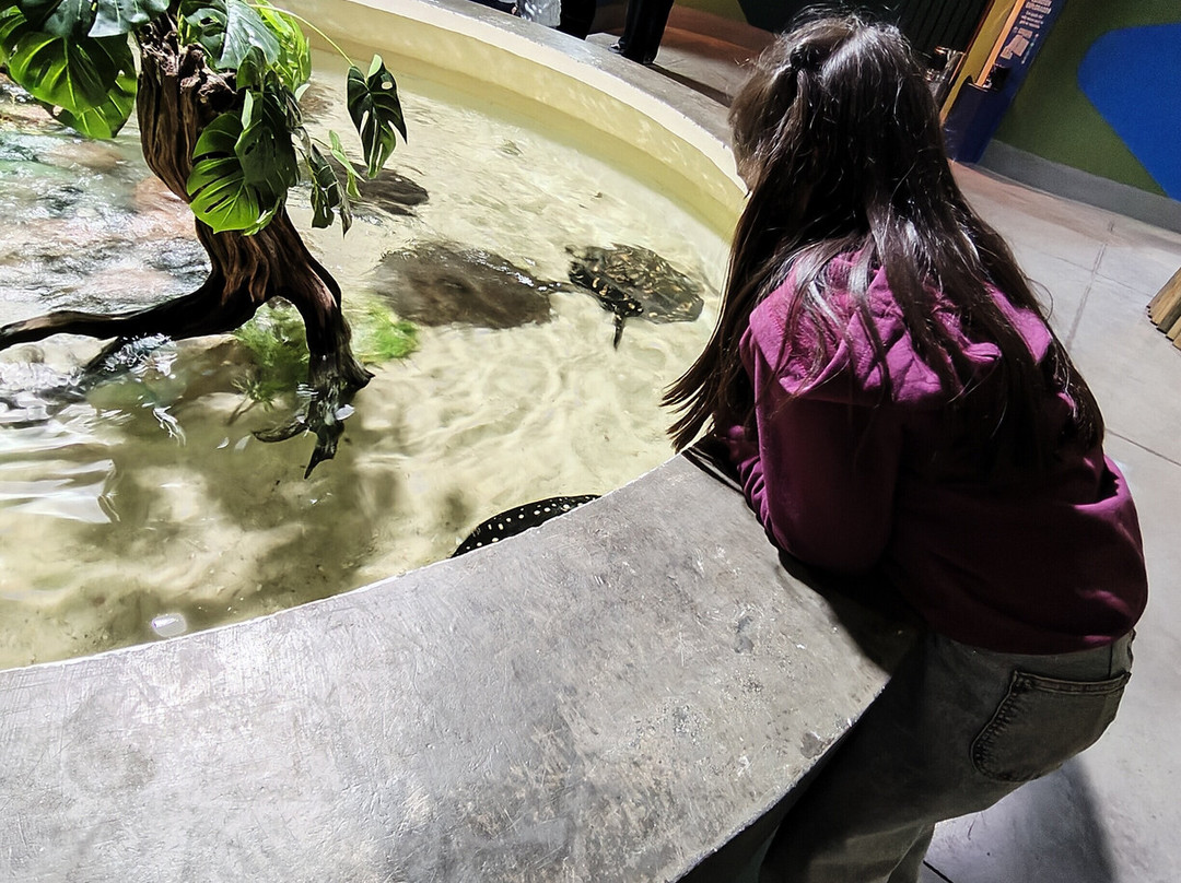 Acuario Michin Puebla-普埃布拉必去景点