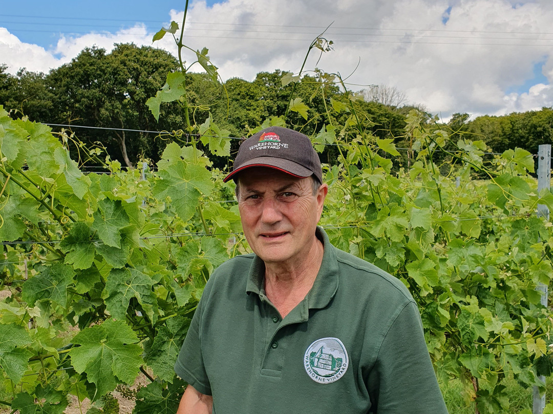 Warehorne Vineyard-阿什福德必去景点