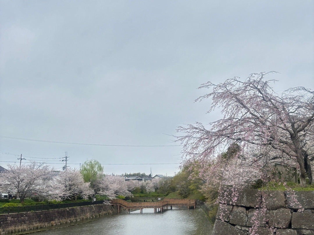 Koriyama Castle-大和郡山市必去景点
