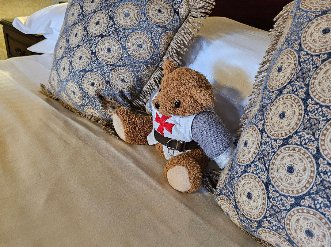 兰利城堡酒店主图