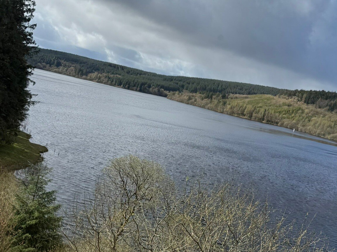 Brecon Mountain Railway-梅瑟蒂德菲尔必去景点