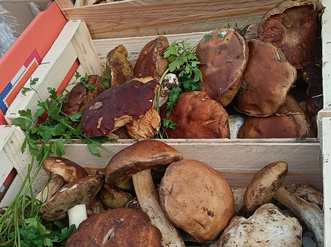 卡皮西纳市场-波尔多必去景点