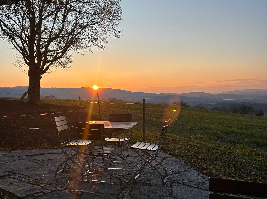 谢伦伯格兰德酒店主图