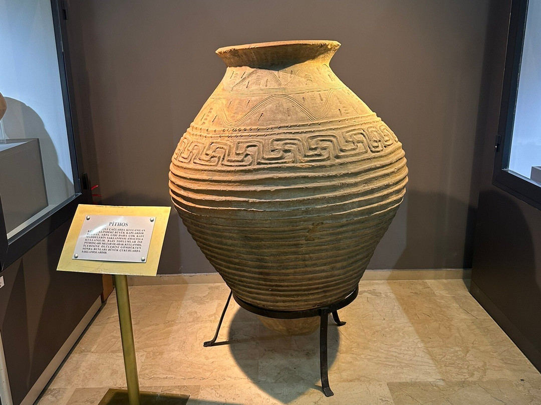 Sivas Arkeoloji Muzesi-Sivas必去景点
