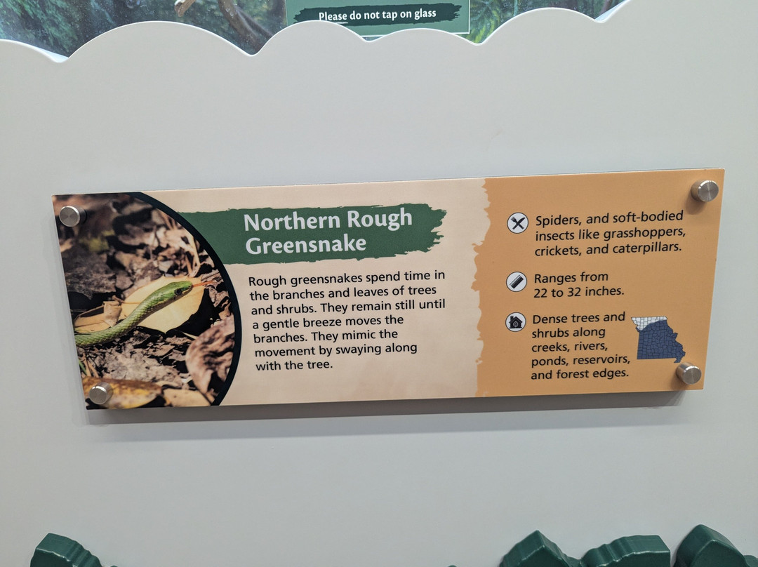 Shepherd of the Hills Fish Hatchery-布兰森必去景点