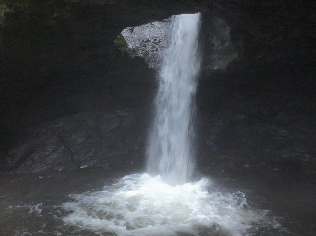 Cueva del Esplendor-Jardin必去景点