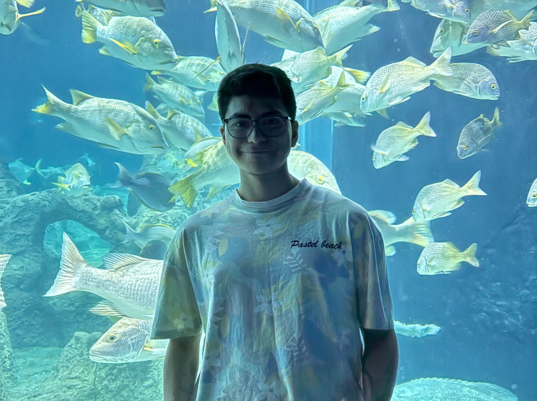 Acuario Michin Guadalajara-瓜达拉哈拉必去景点