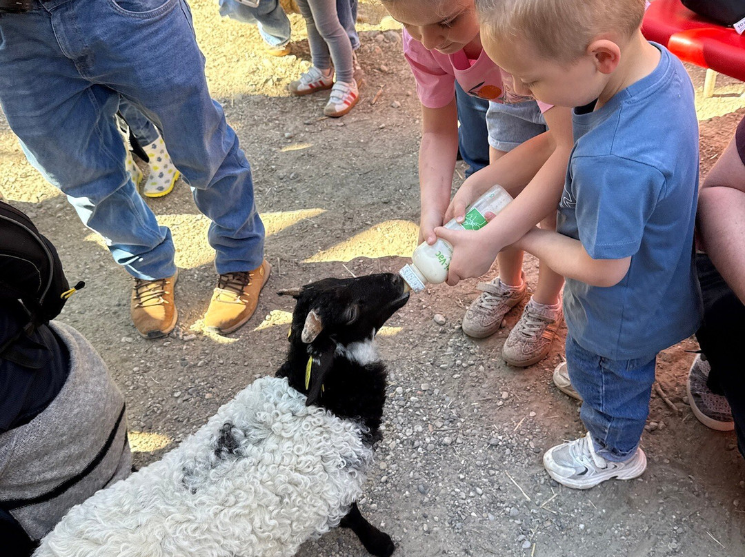 La Ferme Du Facteur Enchantée-Hauterives必去景点