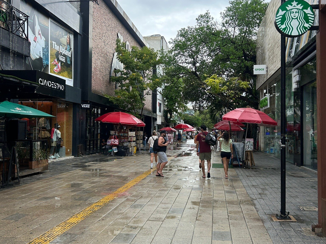 Quinta Avenida-普拉亚德尔卡曼必去景点