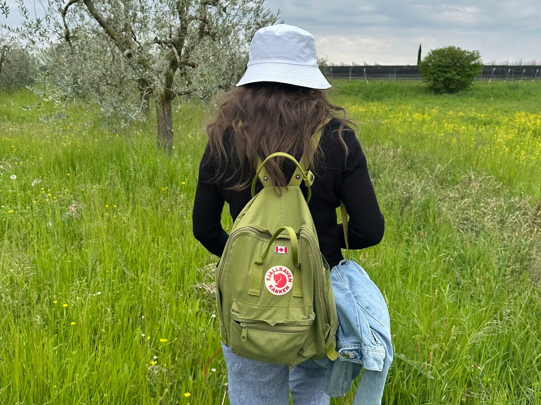 MilleMonti-布雷西亚必去景点