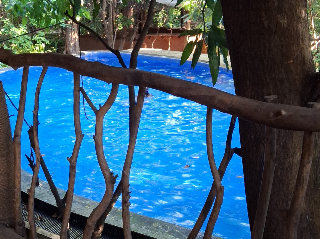 Habarana Tree House Mutu Village主图