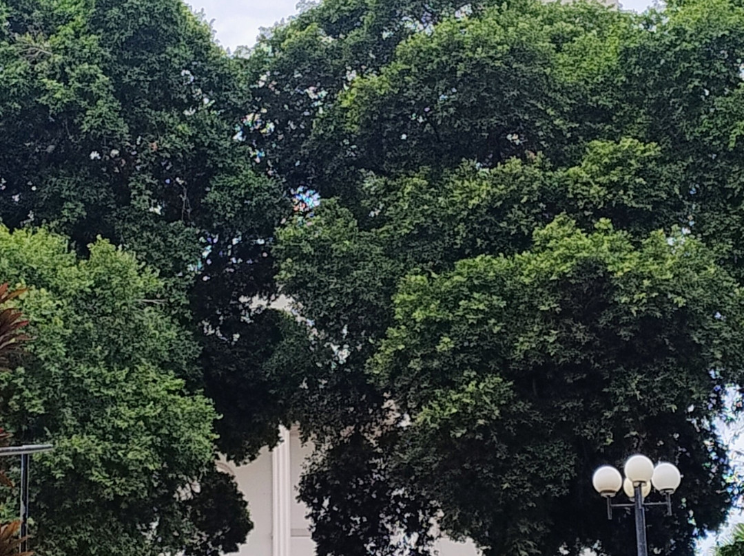 Praça São Januario-Uba必去景点