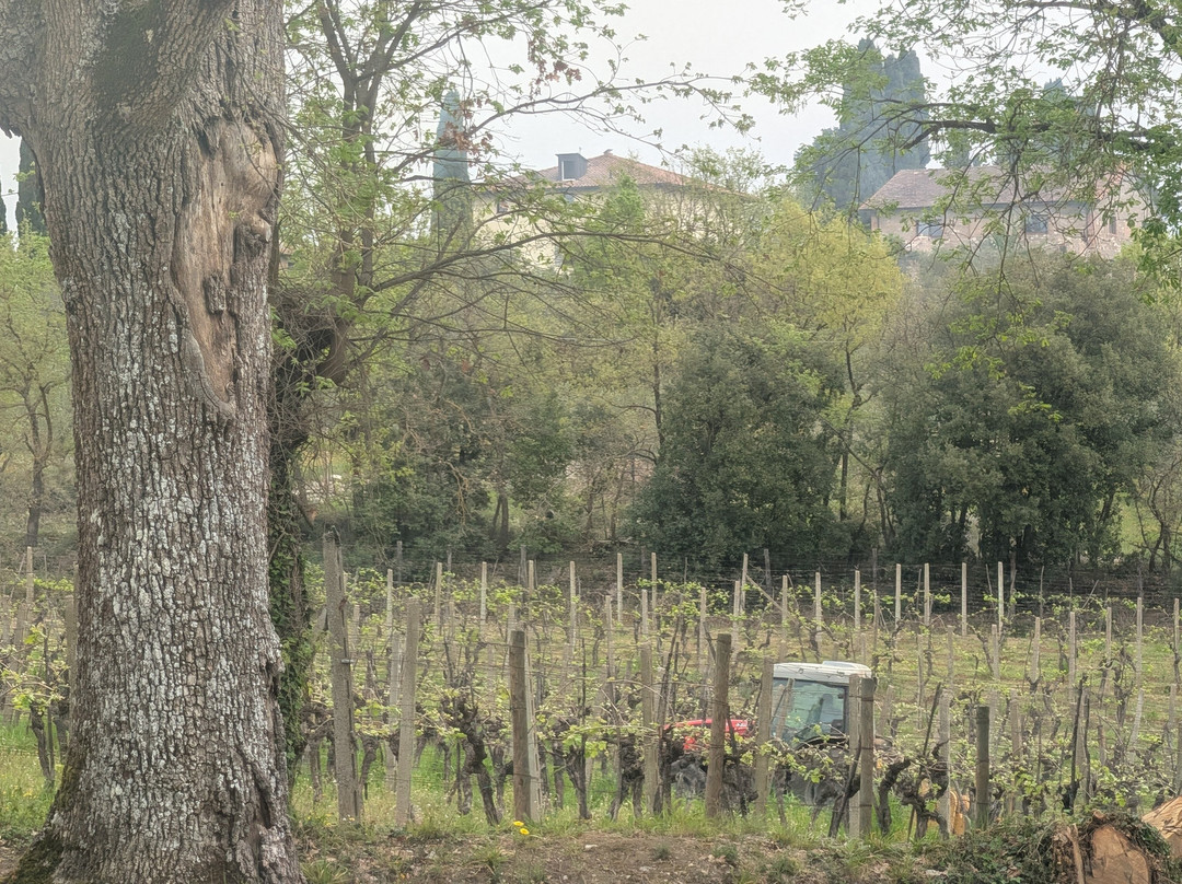 Casale Terzo-埃尔萨谷口村必去景点