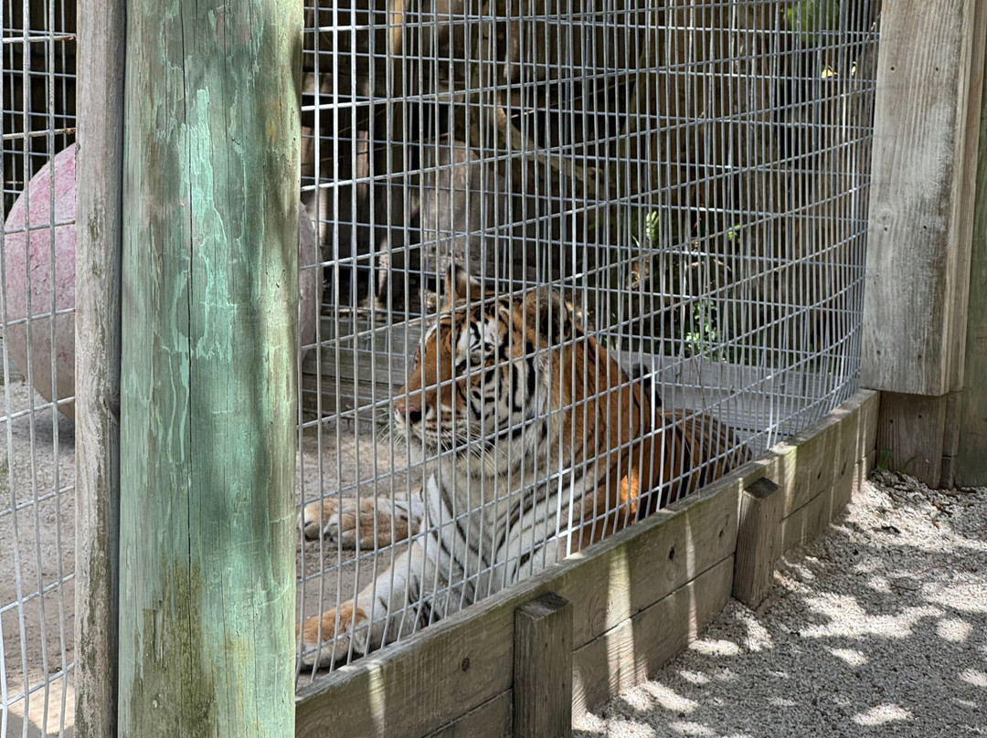 McCarthy's Wildlife Sanctuary-西棕榈滩必去景点