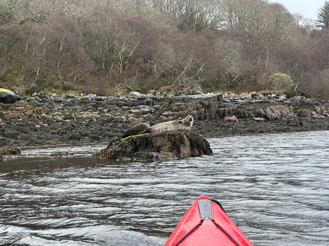 Gairloch Kayak Centre-盖尔洛赫必去景点