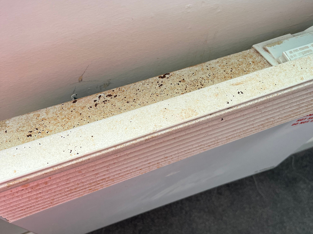 Butlin's Skegness Resort主图