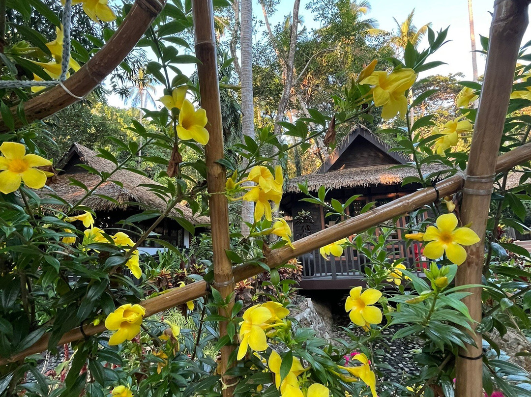 利希姆度假村主图