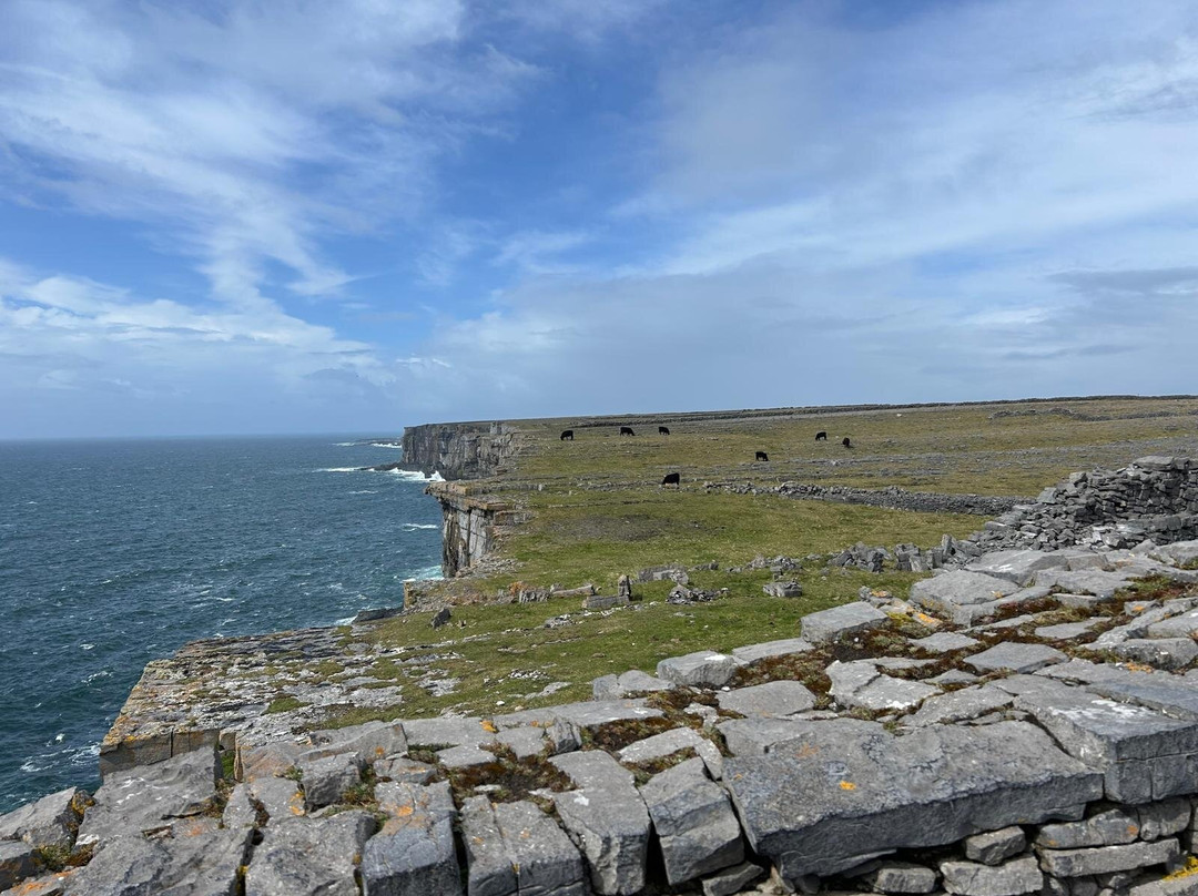 Aran Celtic Tours