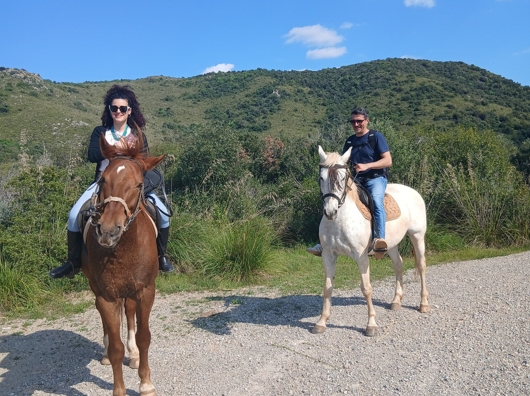 Maneggio Barbazzale-奥尔贝泰洛必去景点