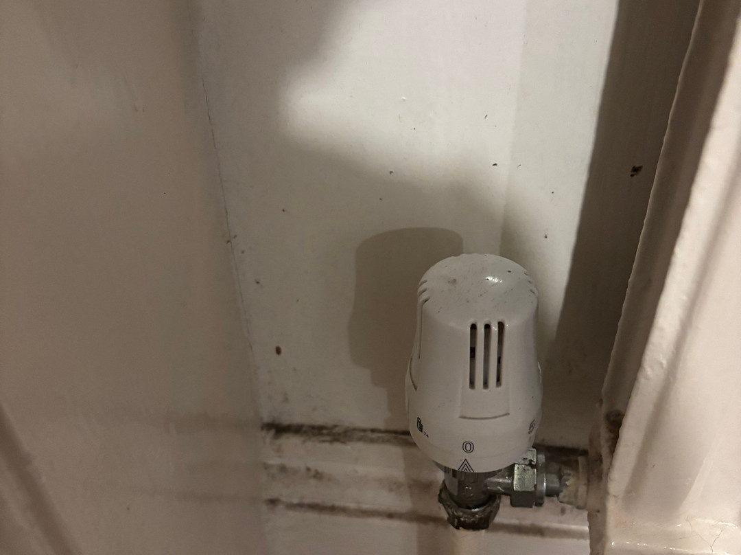 温布弗斯特酒店主图