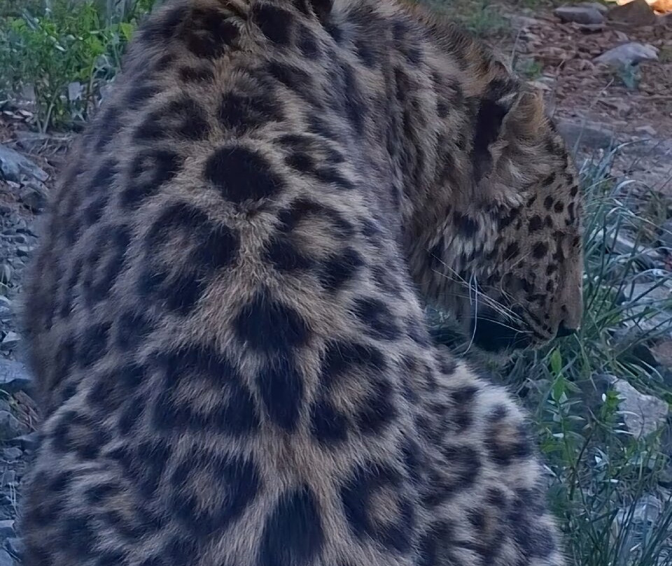 EcoZonia - Parc Animalier-Cases de Pene必去景点