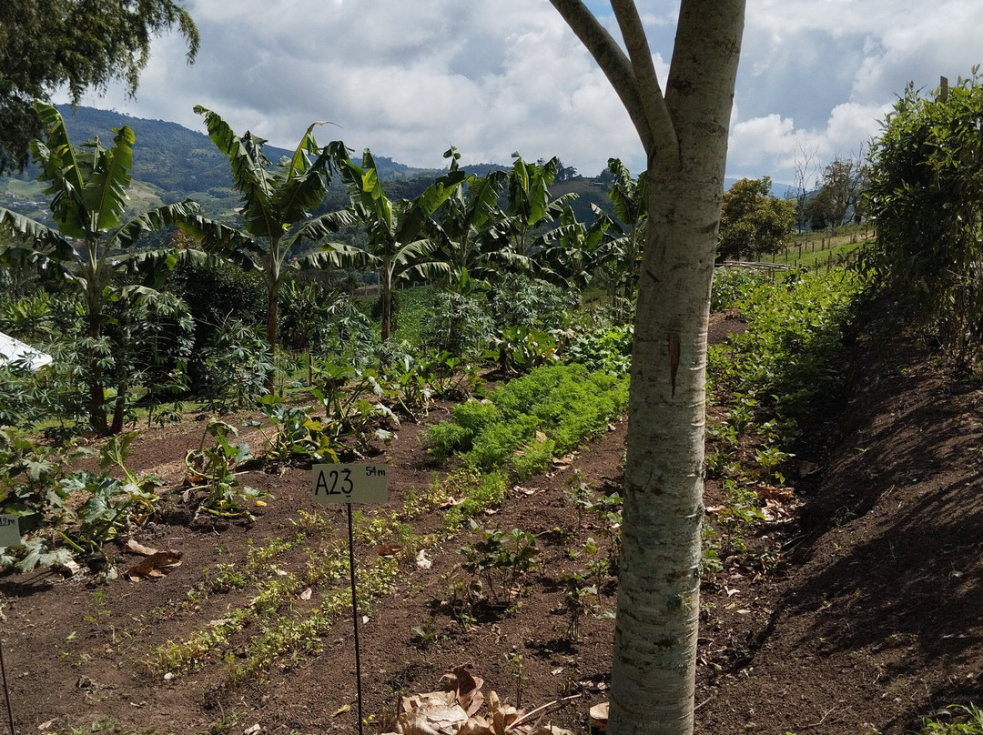 La Huerta Hotel主图